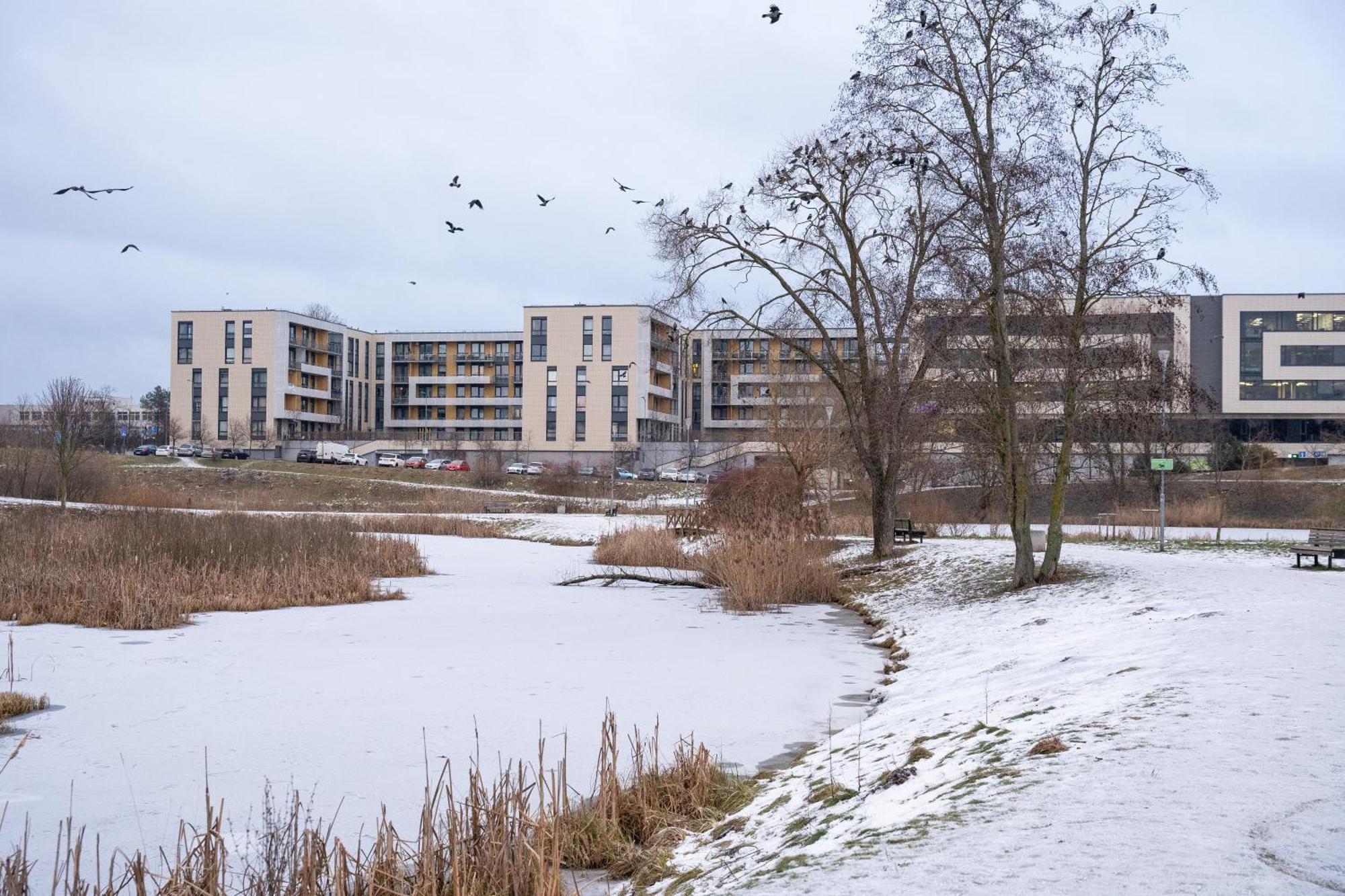 Hygge Oasis For Family With Free Parking And Wi Fi Butas Vilnius