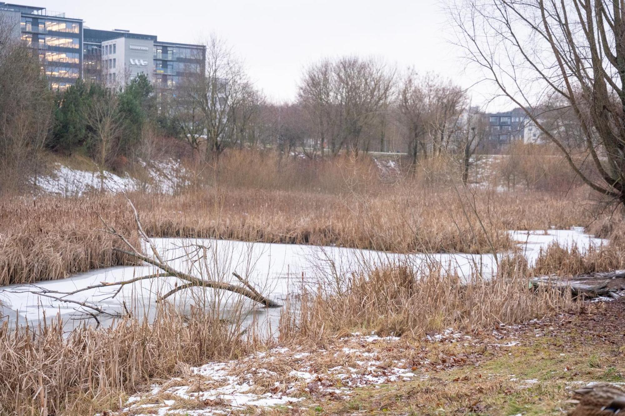 Hygge Oasis For Family With Free Parking And Wi Fi Butas Vilnius